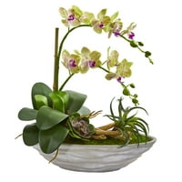 Скоро природна фаланопсис орхидеја и вкусен вештачки аранжман во бела вазна