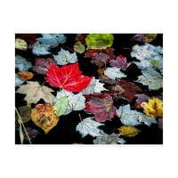 Трговска марка ликовна уметност „есенски заминува во платното на сенките“ од Дејвид В. Полар