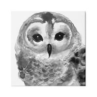 Tupleple Industries Tranquil Barn Owl Bird Face Face Portreate Portate Painting Sainting Gallery завиткано платно печатење wallидна