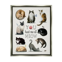 Ступел ме имавте во Meow Cat Pet Animal & Insects сликање сива пловила врамена уметничка печатена wallидна уметност