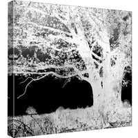Слики, прикажано дрво А, 20х20, украсна платно wallидна уметност
